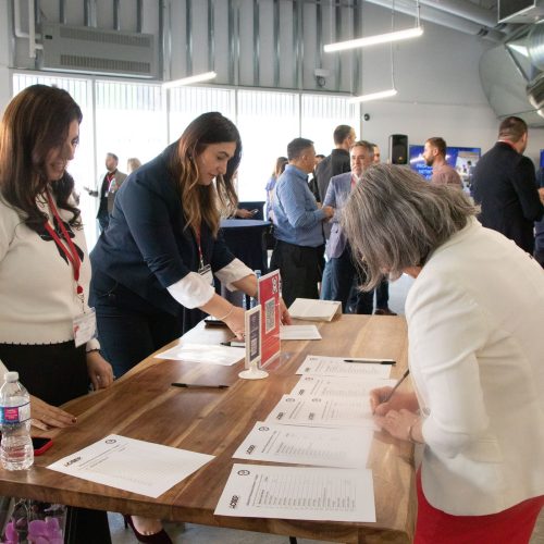 Albanian Professional25