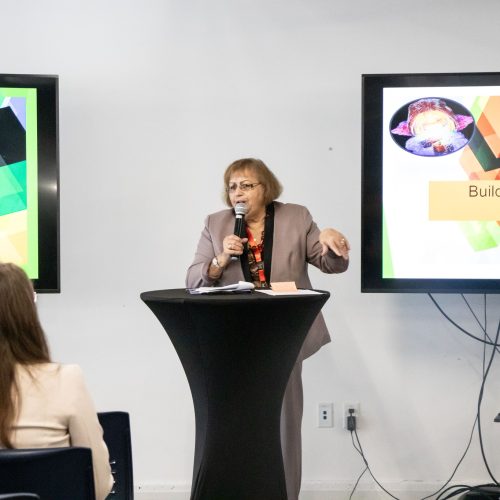 Albanian Professionals2025